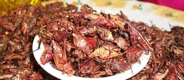 Chapulines - Sputnik Mundo