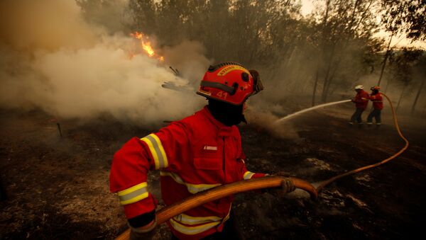 Incendio en Portugal (archivo) - Sputnik Mundo