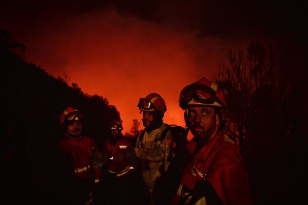 Bomberos portugueses luchando contra los incendios forestales - Sputnik Mundo