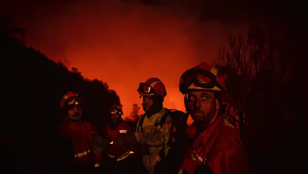 Bomberos luchando contra los incendios forestales - Sputnik Mundo