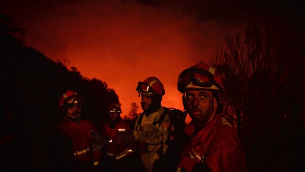 Bomberos luchando contra los incendios forestales - Sputnik Mundo