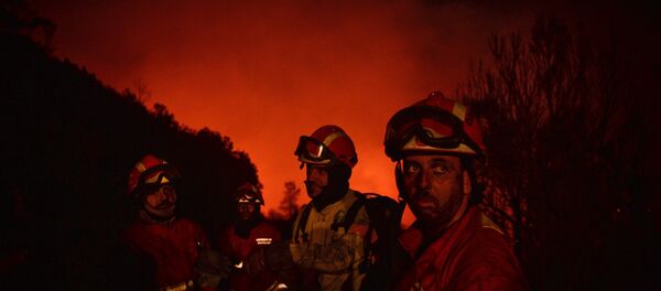 Bomberos luchando contra los incendios forestales - Sputnik Mundo