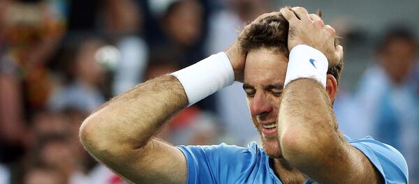 Juan Martín del Potro, tenista argentino - Sputnik Mundo