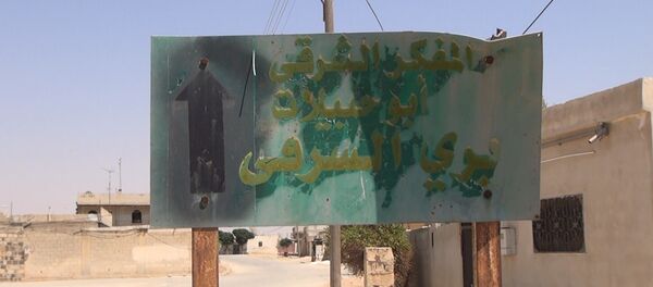 La provincia siria de Hama (archivo) La provincia siria de Hama (archivo) - Sputnik Mundo