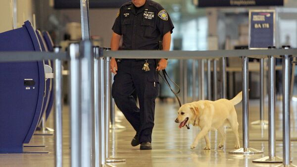 Aeropuerto de JFK en Nueva York - Sputnik Mundo