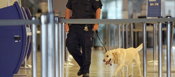 Aeropuerto de JFK en Nueva York - Sputnik Mundo
