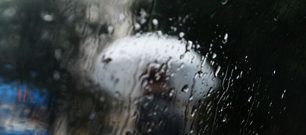 La lluvia - Sputnik Mundo