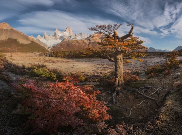 La Patagonia, a través de la mirada de un fotógrafo ruso - Sputnik Mundo