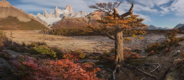 La Patagonia, a través de la mirada de un fotógrafo ruso - Sputnik Mundo