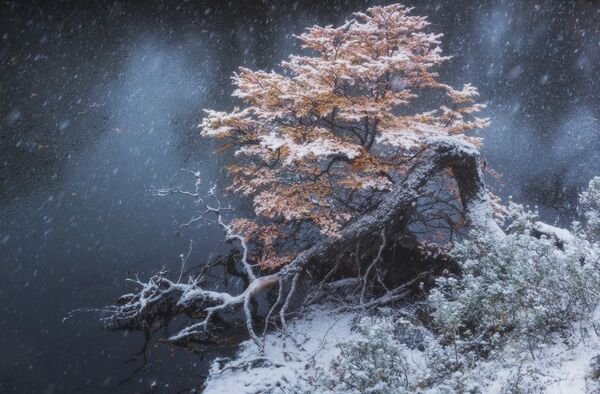 La Patagonia, a través de la mirada de un fotógrafo ruso - Sputnik Mundo