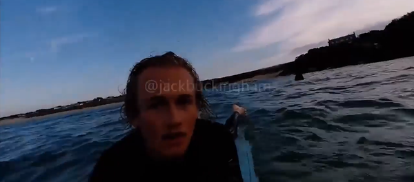 Surfista filma un tiburón que lo perseguía - Sputnik Mundo