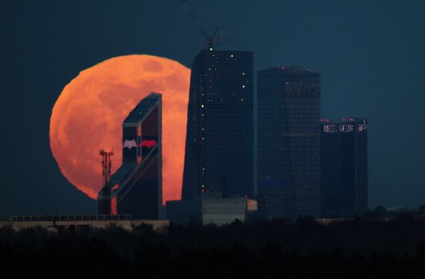 Los diversos 'looks' de la Luna, en imágenes - Sputnik Mundo