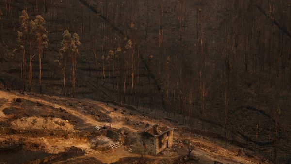Situación en Portugal Situación en Portugal - Sputnik Mundo