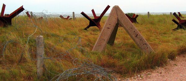 Erizos checos - Sputnik Mundo