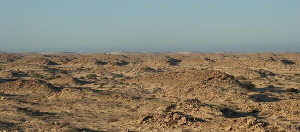 Sáhara Occidental - Sputnik Mundo