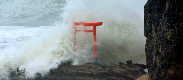 Tifón Lionrock - Sputnik Mundo