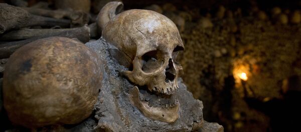 Huesos en una cueva (imagen referencial) - Sputnik Mundo