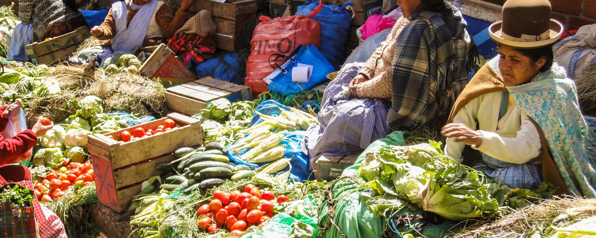 Un mercado boliviano - Sputnik Mundo, 1920, 05.06.2023