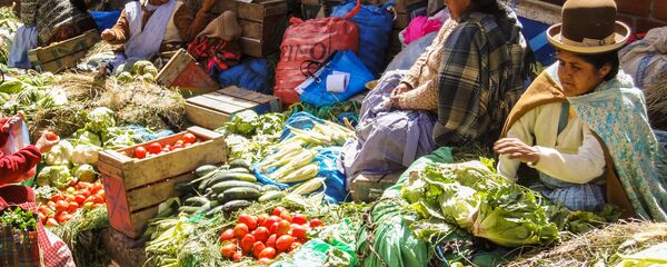 Un mercado boliviano Un mercado boliviano - Sputnik Mundo