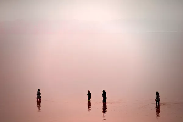 El fantástico lago rosado Urmía de Irán El fantástico lago rosado Urmía de Irán - Sputnik Mundo