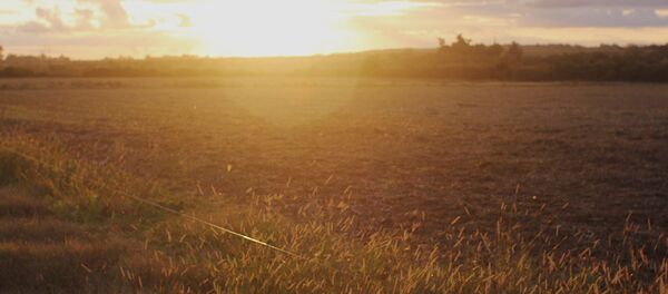 Zona rural de Uruguay - Sputnik Mundo
