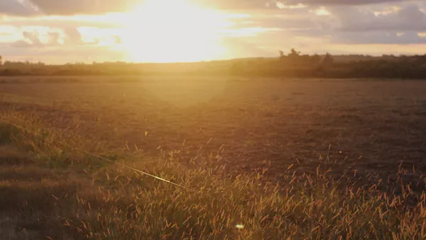Zona rural de Uruguay - Sputnik Mundo