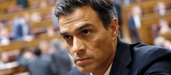 Pedro Sánchez, el líder del PSOE - Sputnik Mundo