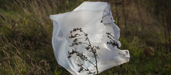 Bolsa de plástico - Sputnik Mundo