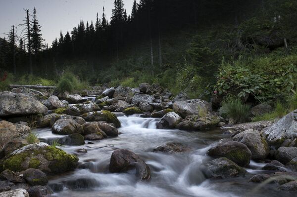 El río Osínovka en el parque nacional Baikal. - Sputnik Mundo