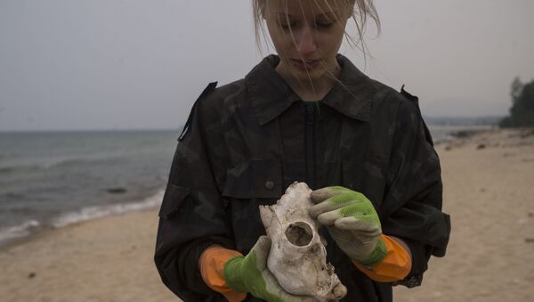 Una voluntaria de la Guardia costera del Baikal durante la recolección de basura en la costa del lago. - Sputnik Mundo