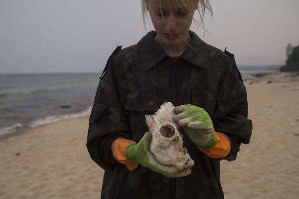 Una voluntaria de la Guardia costera del Baikal durante la recolección de basura en la costa del lago. - Sputnik Mundo