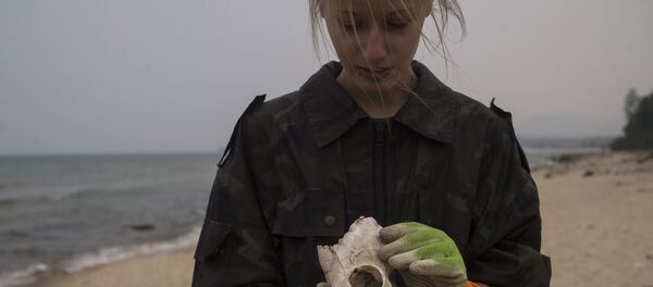 Una voluntaria de la Guardia costera del Baikal durante la recolección de basura en la costa del lago. Una voluntaria de la Guardia costera del Baikal durante la recolección de basura en la costa del lago. - Sputnik Mundo