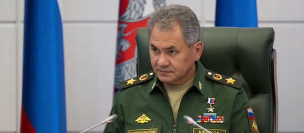 Serguéi Shoigú, ministro de Defensa de Rusia - Sputnik Mundo