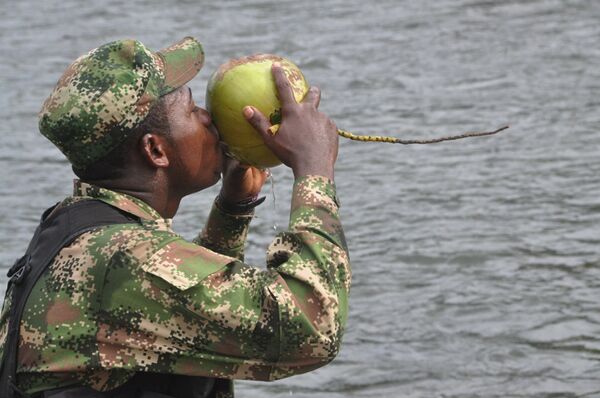 Guerrillero de las FARC Guerrillero de las FARC - Sputnik Mundo