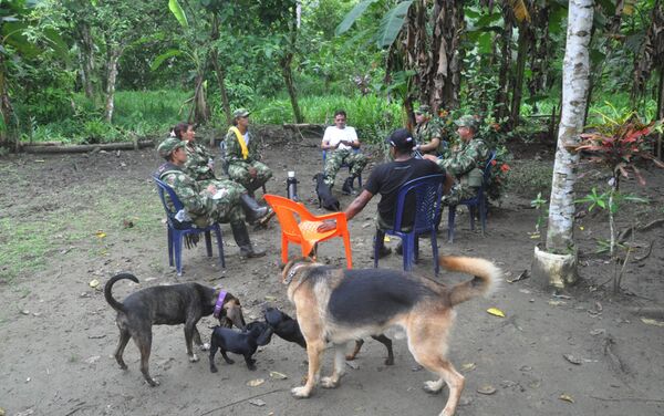 Guerrilleros de las FARC Guerrilleros de las FARC - Sputnik Mundo