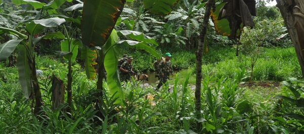 Guerrilleros de las FARC - Sputnik Mundo