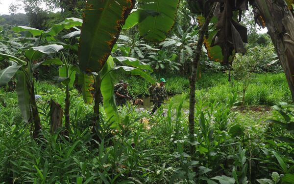 Guerrilleros de las FARC Guerrilleros de las FARC - Sputnik Mundo