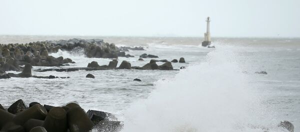 Tifón Lionrock - Sputnik Mundo