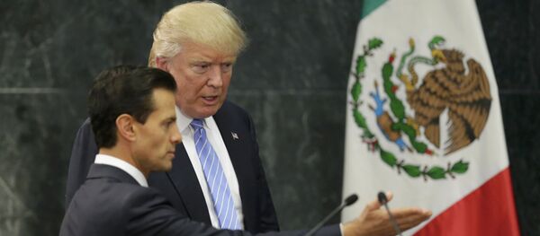 Presidente de México, Enrique Peña Nieto, presidente electo de EEUU, Donald Trump - Sputnik Mundo