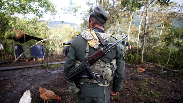 Militante de las Farc en uno de los campamentos - Sputnik Mundo