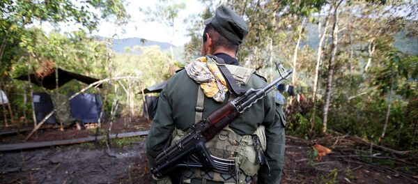 A member of the 51st Front of the Revolutionary Armed Forces of Colombia (FARC) walks at a camp in Cordillera Oriental, Colombia, August 16, 2016 - Sputnik Mundo