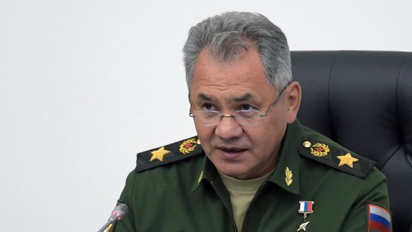 Serguéi Shoigú, ministro de Defensa de Rusia - Sputnik Mundo