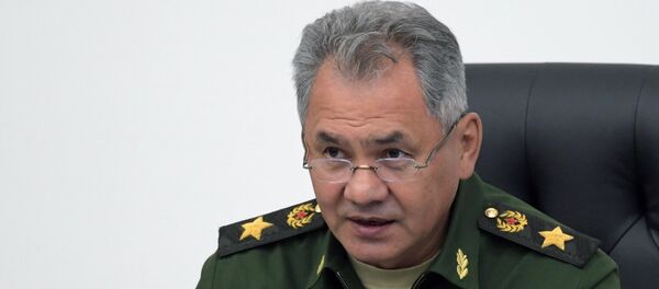 Serguéi Shoigú, el ministro de Defensa ruso - Sputnik Mundo