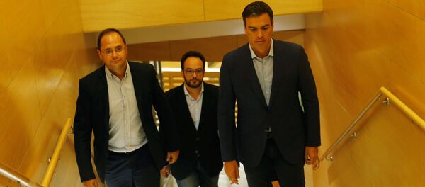 Cesar Luena, Antonio Hernando y Pedro Sánchez del PSOE - Sputnik Mundo