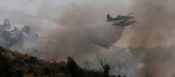 Los incendios forestrales (archivo) - Sputnik Mundo