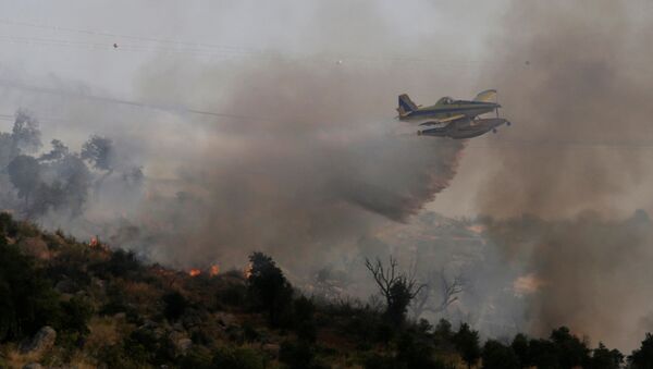 Los incendios forestrales (archivo) - Sputnik Mundo