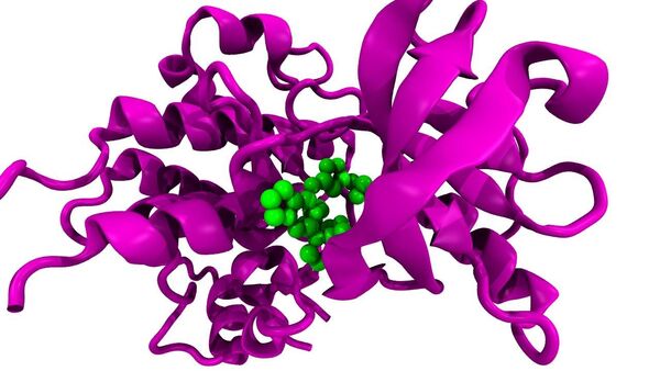 Las células cancerígenas - Sputnik Mundo