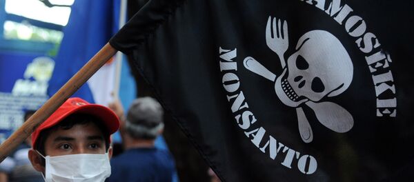 People demonstrate against the US biotechnology giant Monsanto and its genetically modified crops and pesticides, in Asuncion, on May 25, 2015 two days after thousands of people hit the streets in cities across the world to protest against the company. - Sputnik Mundo