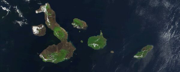 Las Islas Galápagos - Sputnik Mundo