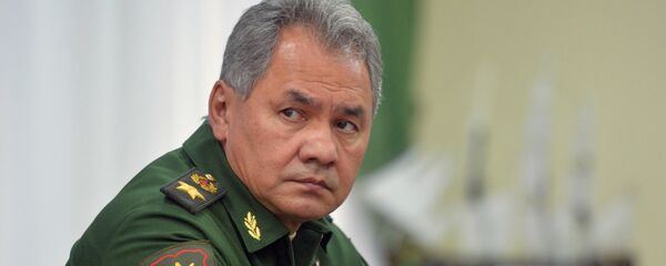 Serguéi Shoigú, ministro de Defensa de Rusia - Sputnik Mundo